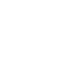 "Secure Token Shield"